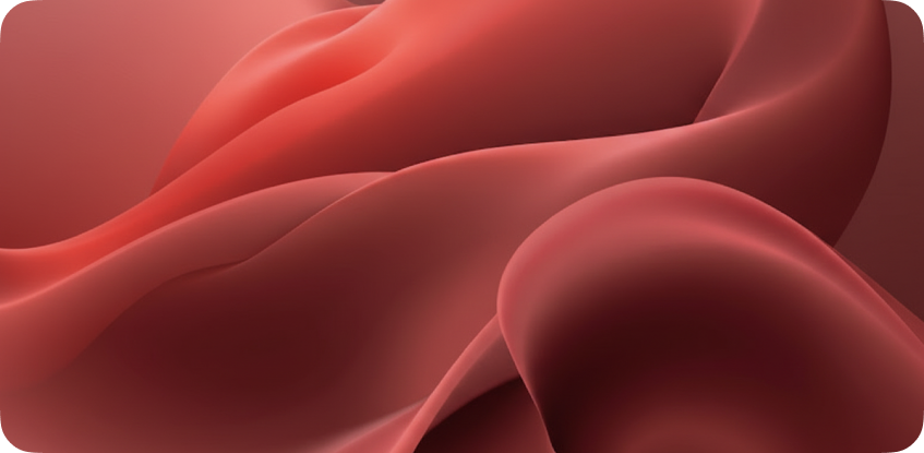 Результаты рекламного размещения на портале